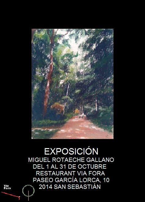 Mikel Rotaeche en Vía Fora de Donostia