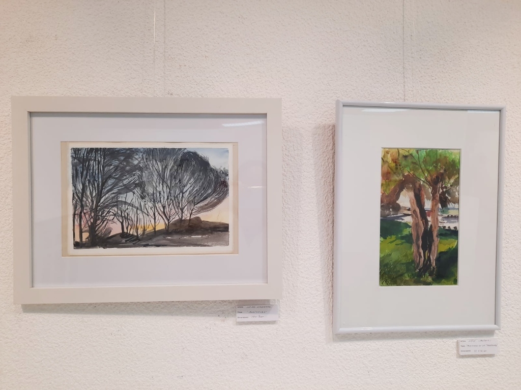 Exposición de los talleres de acuarela